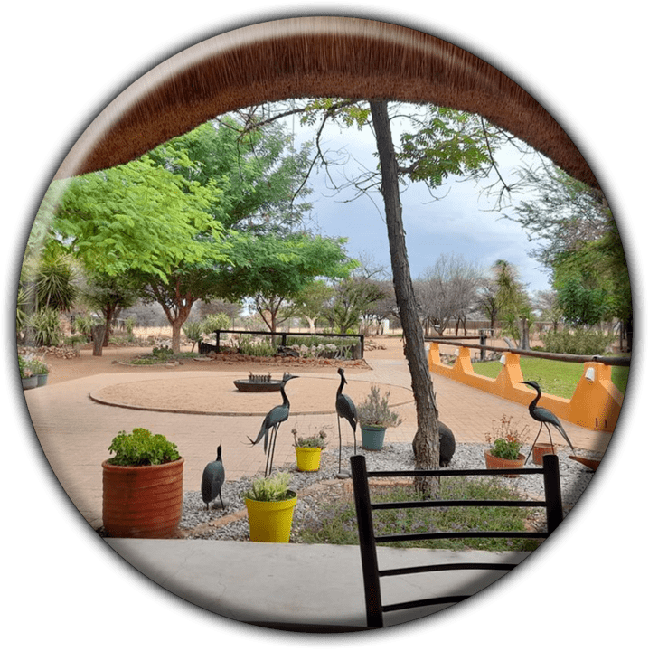 Lion's Den - Bed & Breakfast Accommodation in Otjiwarongo, Namibia