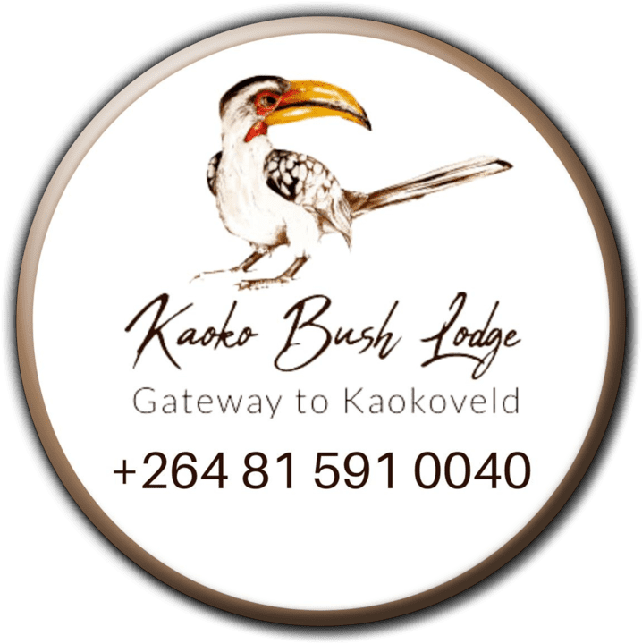 Kaoko Bush Lodge - Camping and Caravanning Accommodation in Kamanjab, Namibia