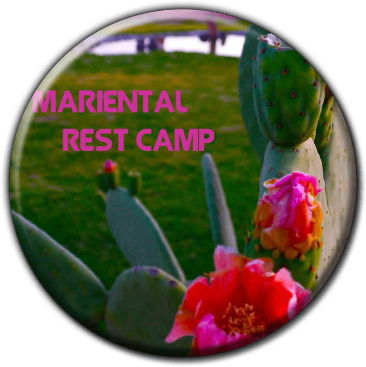 Mariental Rest Camp - Camping and Caravanning Accommodation in Mariental, Namibia