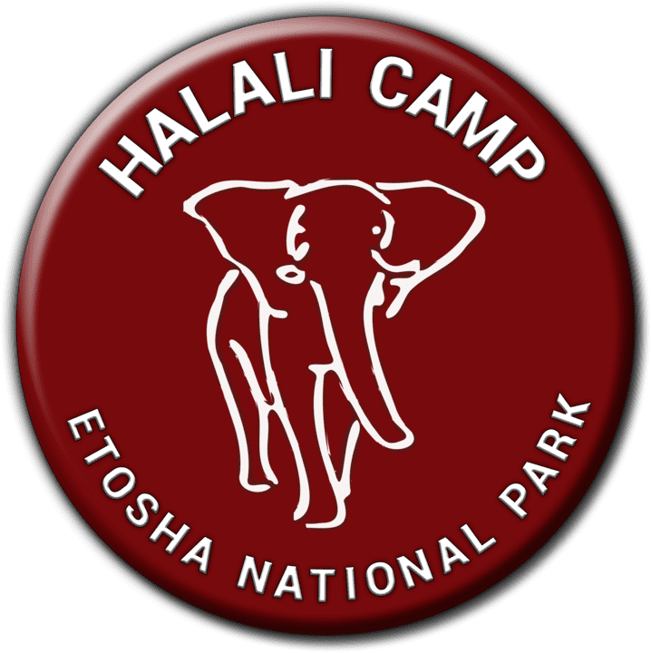 Halali Camp - Lodge Accommodation in Etosha, Namibia