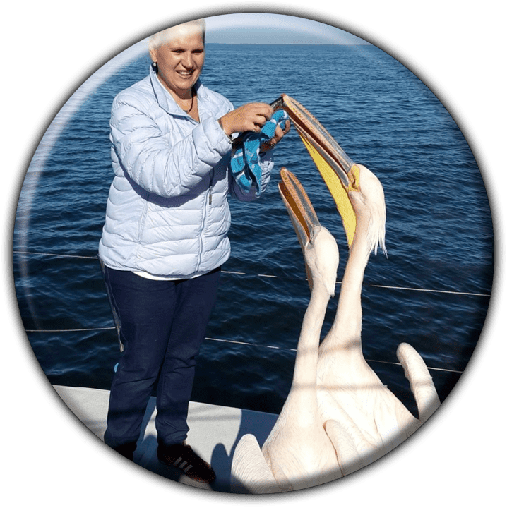 Namibia Dolphin and Seal Catamaran Cruises (Walvis Bay) - Adventure Sports in Swakopmund, Namibia