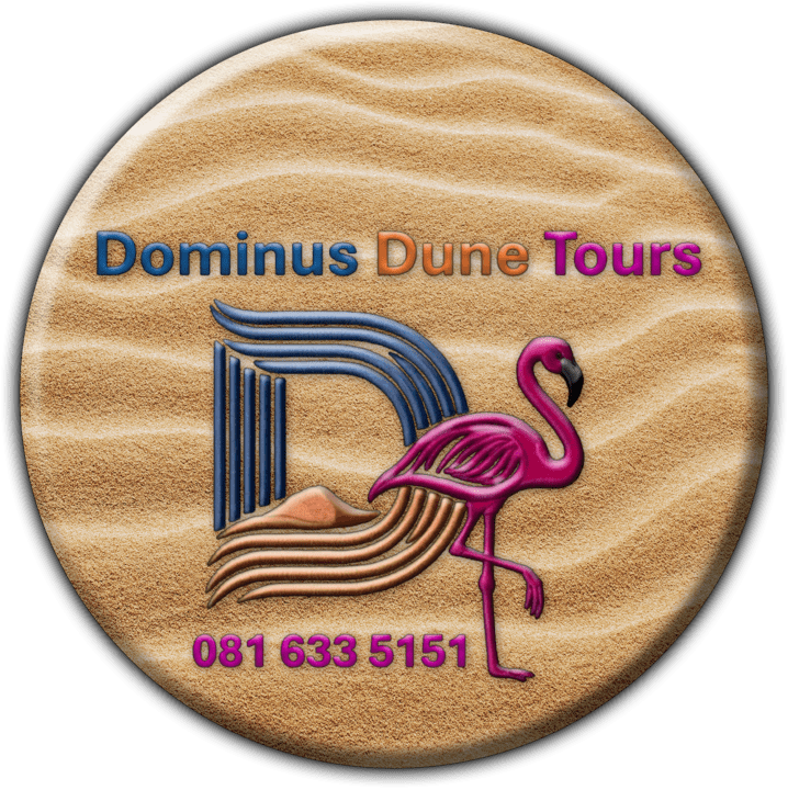 Dominus Driving School - Driving Schools & Driving Instructors in Swakopmund, Namibia