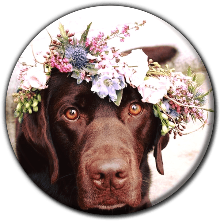 Flower Garden - Florists (Custom Bouquets, Event D&eacute;cor & Flower Delivery) in Walvis Bay, Namibia