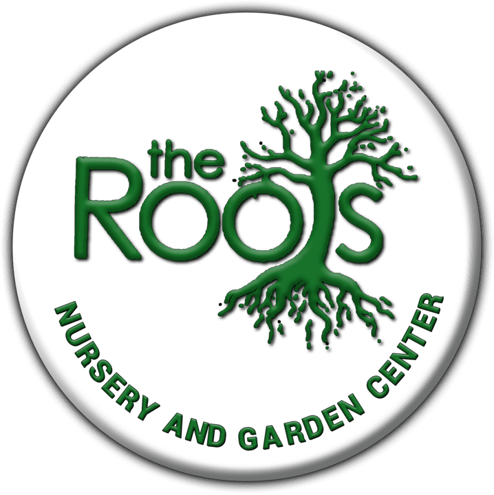 The Roots Nursery and Garden Centre - Nurseries in Henties Bay, Namibia