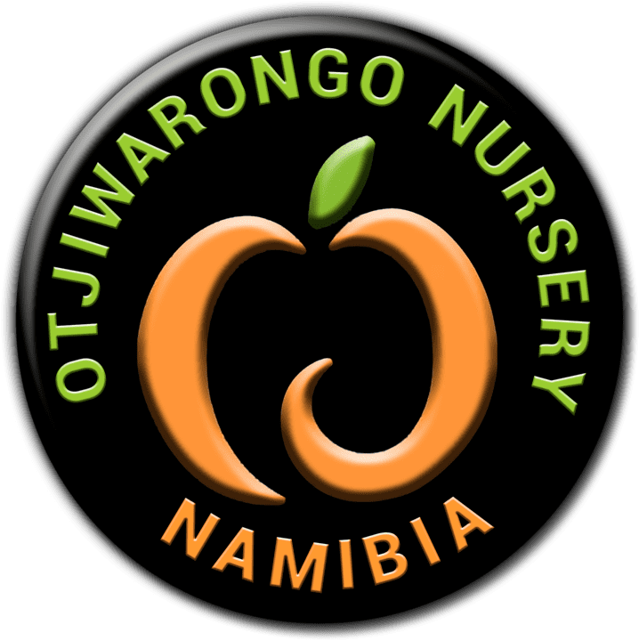 Otjiwarongo Nursery Flintstone Creation - Nurseries in Otjiwarongo, Namibia