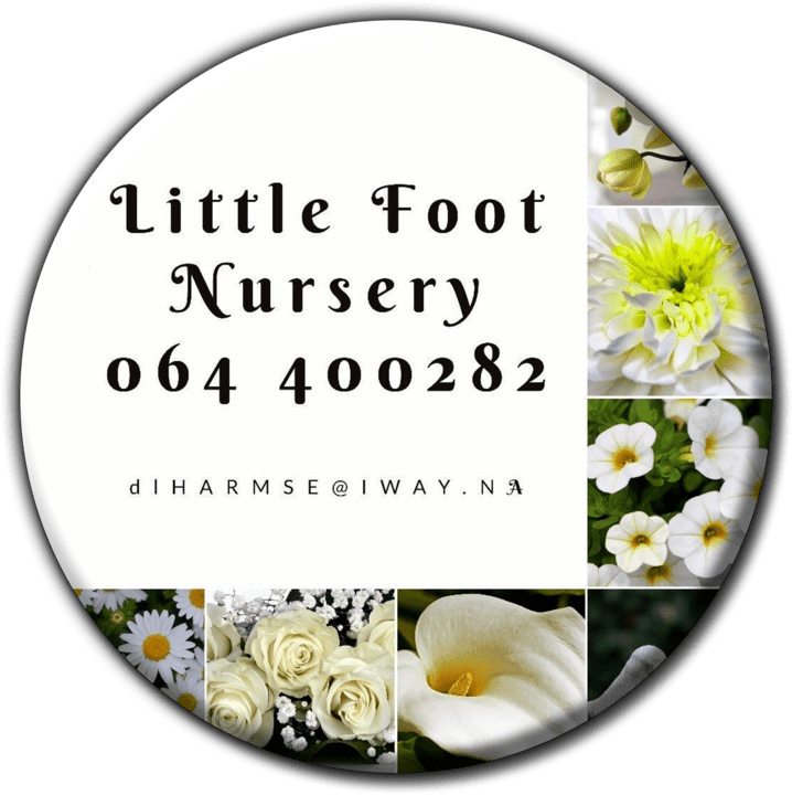 Little Foot Nursery - Nurseries in Swakopmund, Namibia