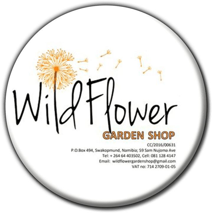 Wild Flower - Nurseries in Swakopmund, Namibia