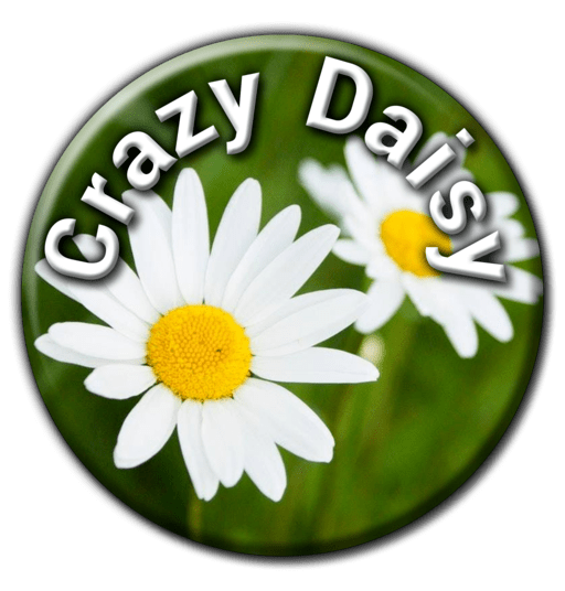 Crazy Daisy Nursery - Nurseries in Walvis Bay, Namibia