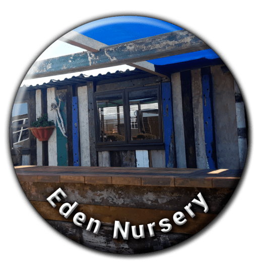 Eden Nursery - Nurseries in Walvis Bay, Namibia