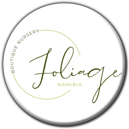 Foliage Boutique Nursery - Nurseries in Windhoek, Namibia