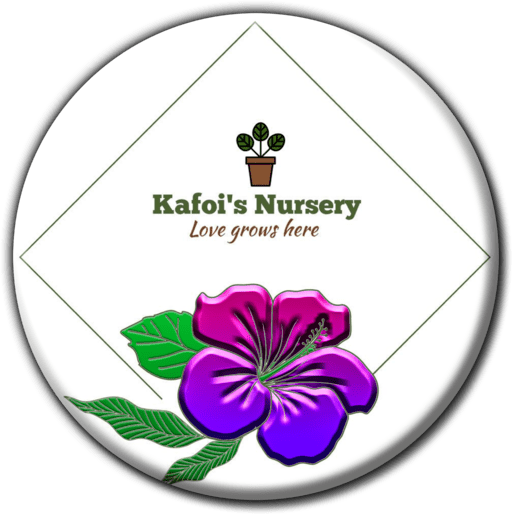 Kafoi's Nursery - Nurseries in Windhoek, Namibia