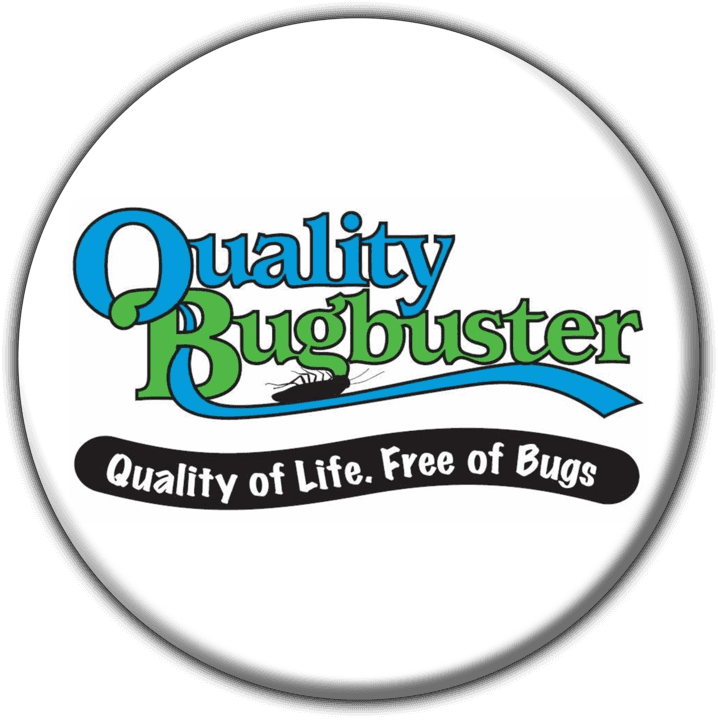 Quality Bug Busters - Pest Control in Windhoek, Namibia