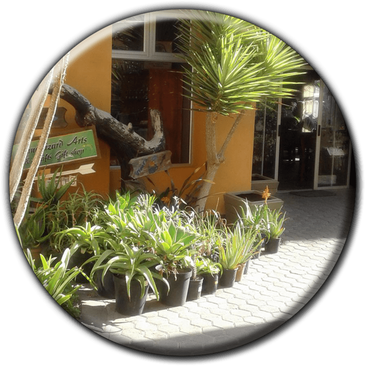 Vlooi's Nest Coffee Shop - Restaurants in Walvis Bay, Namibia