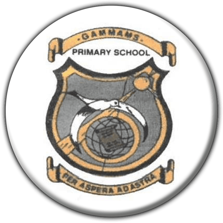 Gammams Primary School - Schools in Windhoek, Namibia
