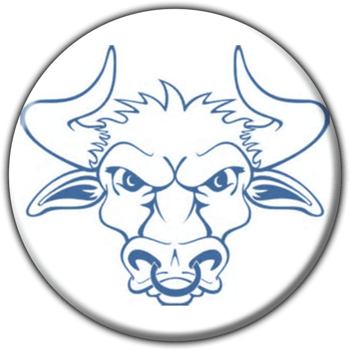 Bulls Security Services - Security Services & Systems in Windhoek, Namibia