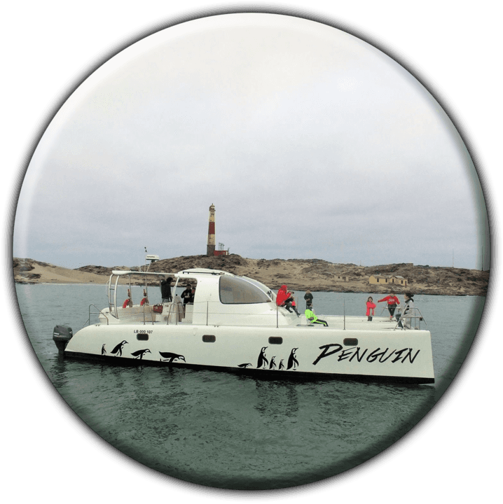 Penguin Catamaran Tours - Tours and Safaris Operators in Lüderitz, Namibia
