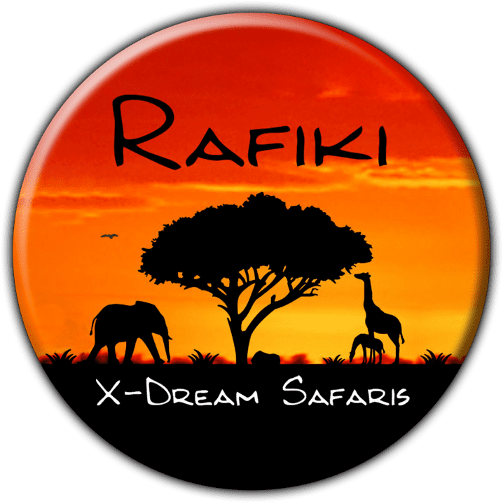 Rafiki X-Dream Safaris - Tours and Safaris Operators in Omaruru, Namibia