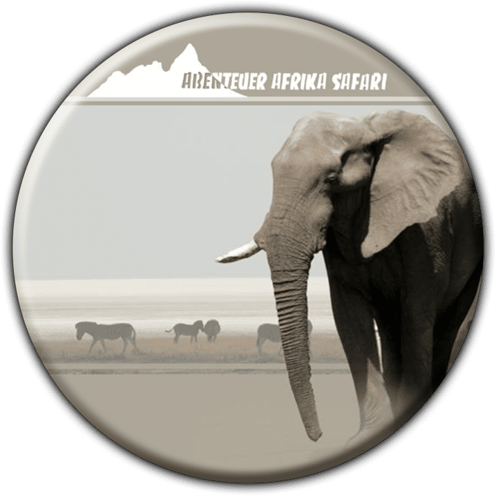 Abenteuer Afrika Safari - Tours and Safaris Operators in Swakopmund, Namibia
