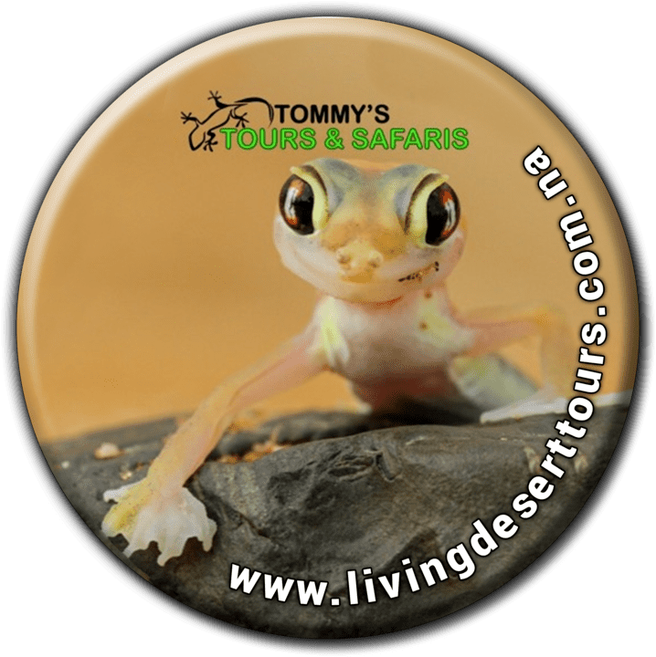 Tommy's Living Desert Tours - Tours and Safaris Operators in Swakopmund, Namibia