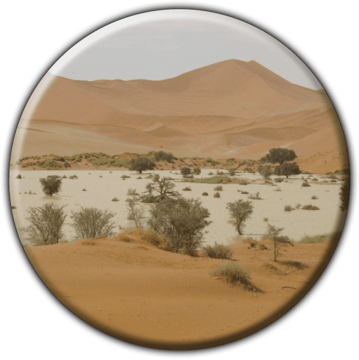 Namibia Coast Tours & Self Catering - Tours and Safaris Operators in Walvis Bay, Namibia