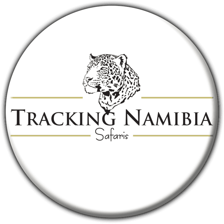 Tracking Namibia Safaris - Tours and Safaris Operators in Walvis Bay, Namibia