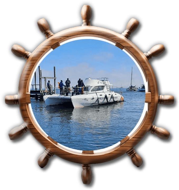 Walvis Bay Tours - Tours and Safaris Operators in Walvis Bay, Namibia