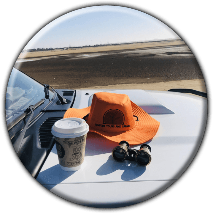 Comfort Tours & Safaris Namibia - Tours and Safaris Operators in Windhoek, Namibia