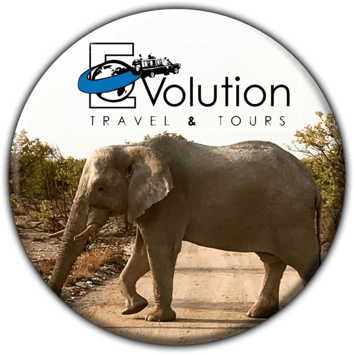 Evolution Travel and Tours - Tours and Safaris Operators in Windhoek, Namibia