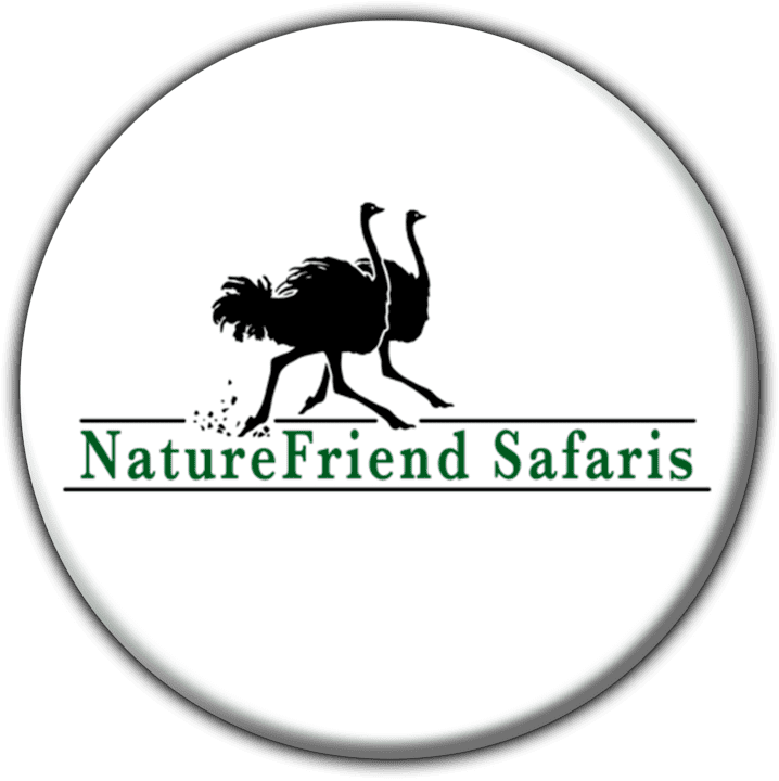 Nature Friend Safaris - Tours and Safaris Operators in Windhoek, Namibia