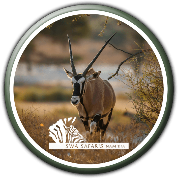 SWA Safaris Namibia - Tours and Safaris Operators in Windhoek, Namibia