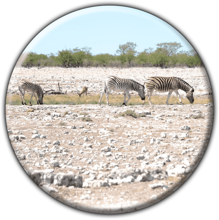 Africa Blue Sky Tours and Adventures - Travel Agents in Windhoek, Namibia