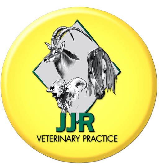 JJR Veterinary Practice - Veterinary Hospitals & Clinics (Pets, Livestock & Wildlife) in Grootfontein, Namibia