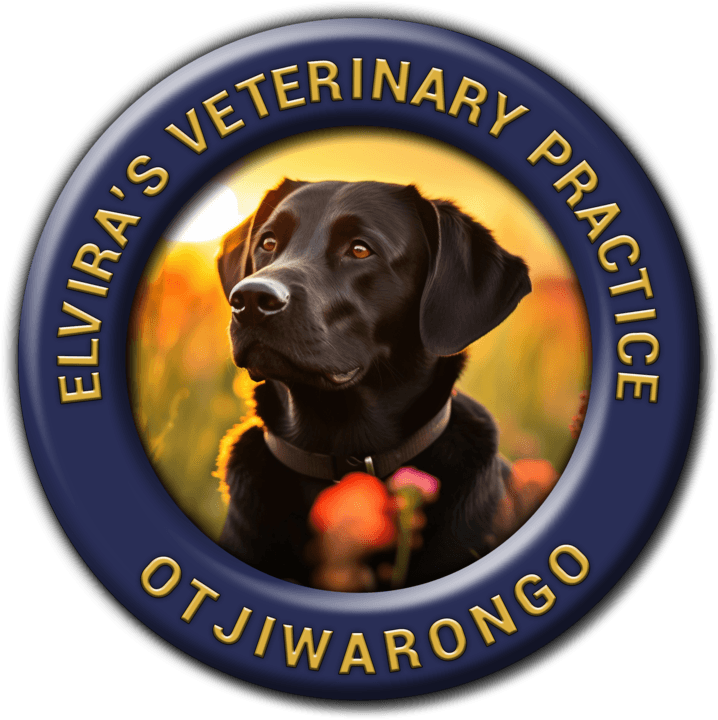 Northern Veterinary Practice Elvira's Veterinary Practice trading as banner