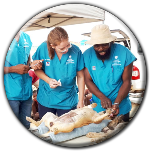 State Veterinary Outjo - Veterinary Hospitals & Clinics (Pets, Livestock & Wildlife) in Outjo, Namibia