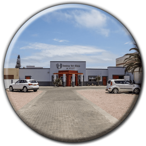 Swakop Vet Clinic - Veterinary Hospitals & Clinics (Pets, Livestock & Wildlife) in Swakopmund, Namibia