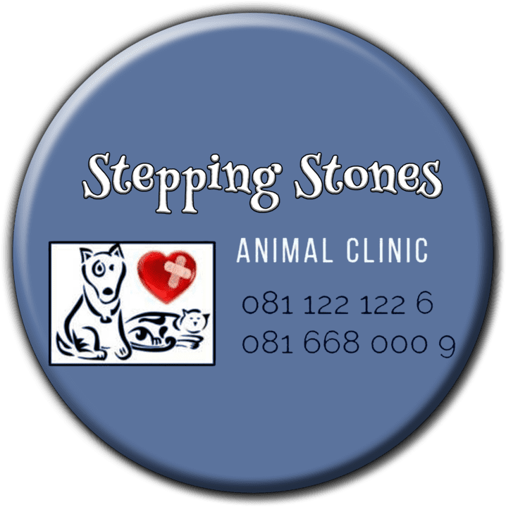 Stepping Stones Animal Clinic - Veterinary Hospitals & Clinics (Pets, Livestock & Wildlife) in Windhoek, Namibia